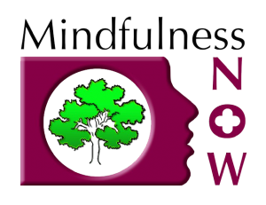 Mindfulness-NOW-Logo-transparent